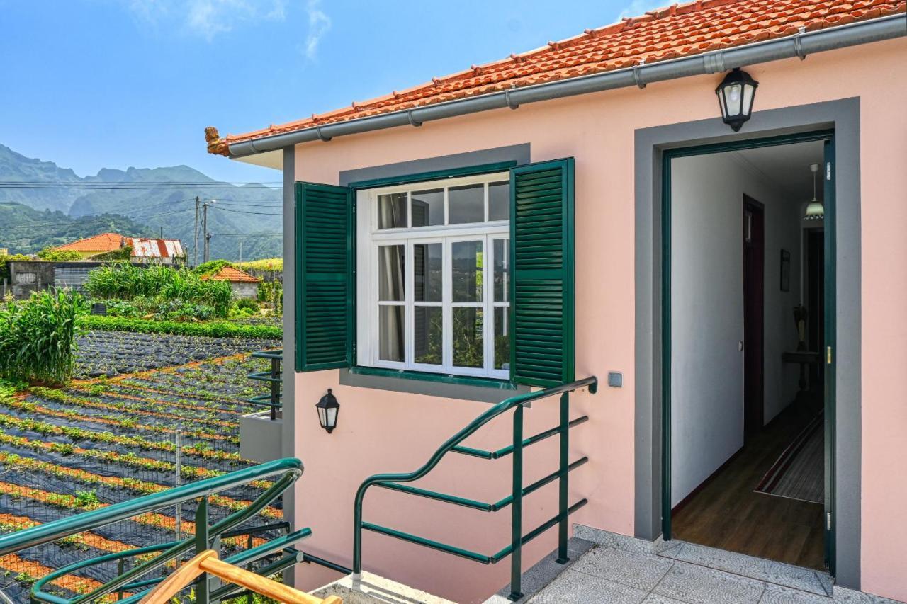 Os Ferreirinhos, A Home In Madeira São Jorge Buitenkant foto
